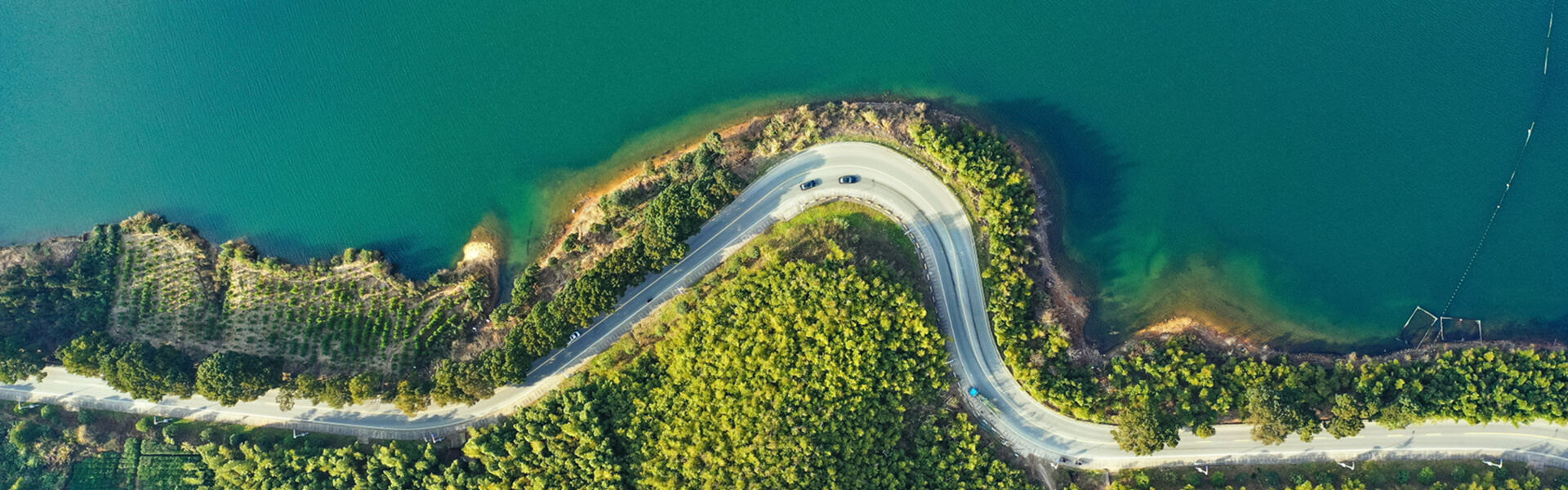 生态溯源