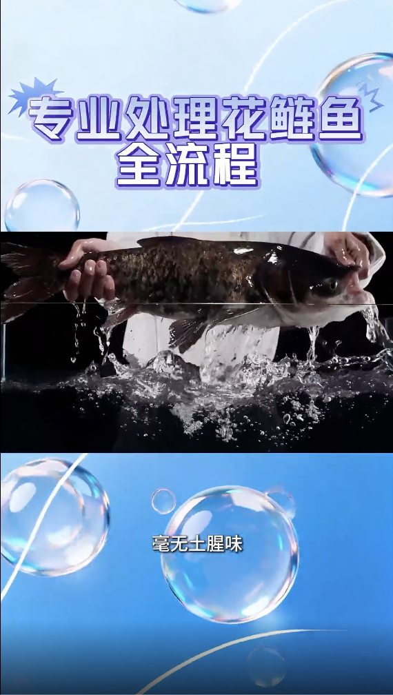 花鲢鱼专业处理流程