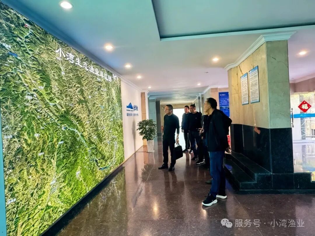 深化政企合作 共绘生态渔业新蓝图——昌宁县与小湾生态渔业公司共商产业高质量发展