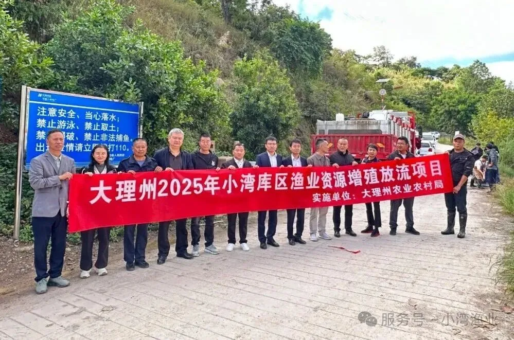 16年坚守“以渔净水、以水养鱼” ，小湾库区增殖放流28吨鱼苗筑生态屏障