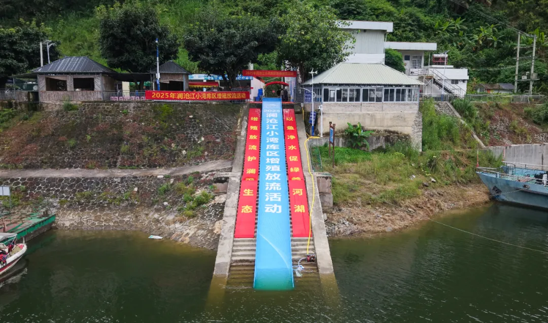 增殖放流护澜沧生态 以鱼净水促绿美河湖 | 2025年澜沧江（保山段）增殖放流活动在昌宁江桥码头举行