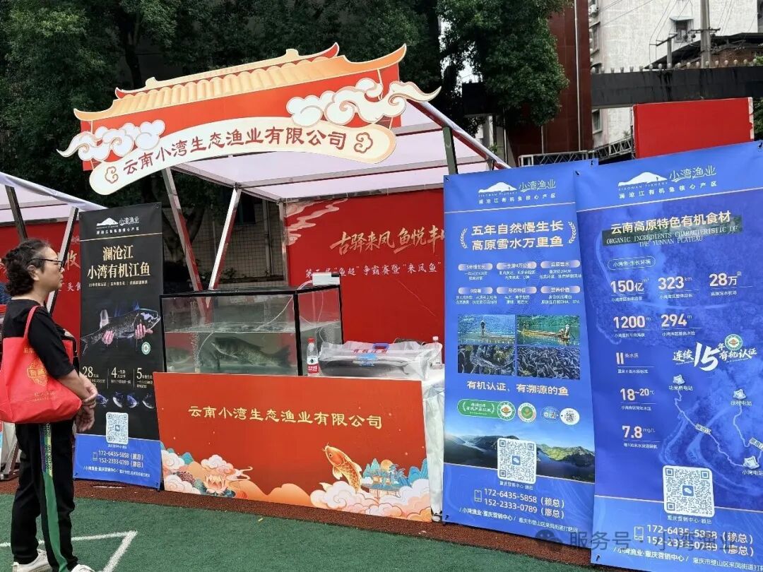小湾渔业携有机花鲢亮相重庆第二届“鱼超”争霸赛，澜沧江鲜味征服山城味蕾